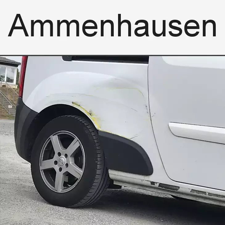 Kfz Gutachter Ammenhausen