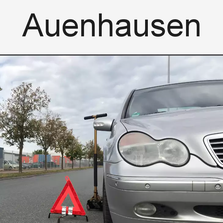 Kfz Gutachter Auenhausen